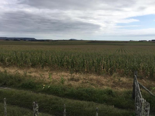 Imagen 15 de 15 de Campo - Balcarce