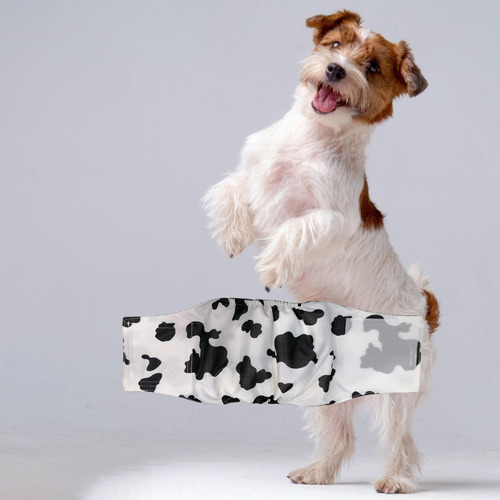3 Pañal Para Perros De Alta Absorción, A Prueba De Fugas,