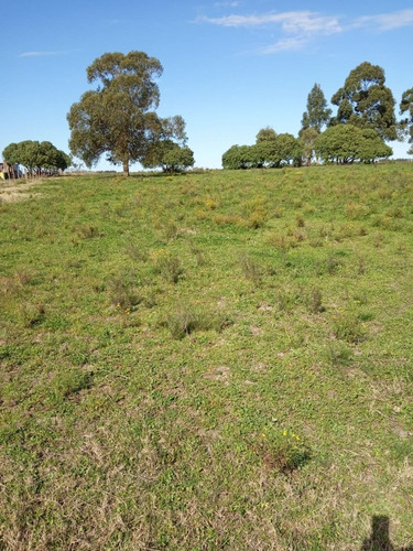 9 Has A 5 Km De Tala - Chacra, Campo