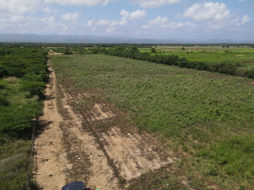 Imagen 22 de 30 de Finca En Venta Aguadagrande, Siquisique Cod. 23-7859