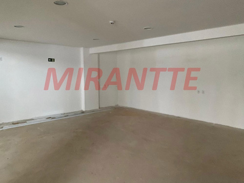 Imagem 8 de 8 de Comercial Em Santana - São Paulo, Sp - 346976