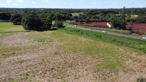 Imagem 4 de 6 de Área À Venda, 11000 M² Por R$ 5.000.000,00 - Vila Yolanda - Foz Do Iguaçu/pr - Ar0009
