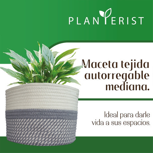 Planterist - Maceta Tejida Autorregable - Mediana Color Cocula