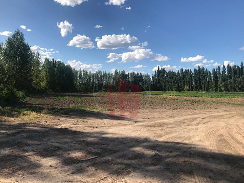 Imagen 3 de 6 de Se Venden Lotes - Fincas 3 Vista Alegre