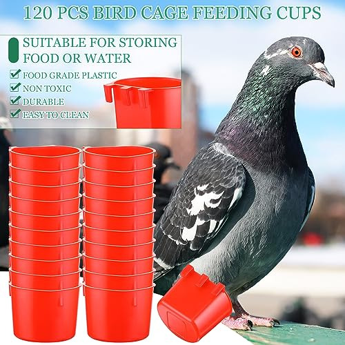 Tazas Colgantes Para Pollos Y Aves De Corral 240 Ml
