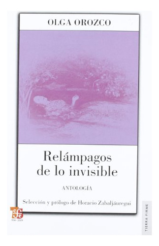 Libro Relampagos De Lo Invisible  De Orozco Olga  Fce