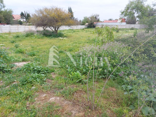 Terreno Construccion En Venta En Olmué