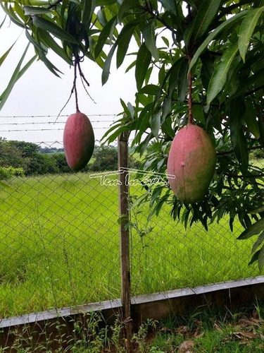 Chácara Estilo Sítio No Campos De Boituva Em Boituva. Pomar, Piscina, Churrasqueira. - Ch00582 - 69435662