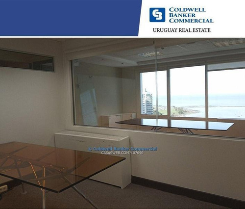 Alquiler Oficina En World Trade Center -wtc- Buceo
