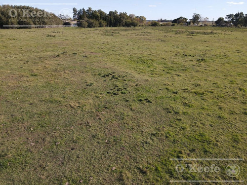 Imagen 9 de 19 de Campo Mixto De 280 Has Con Inmejorable Acceso Sobre Asfalto En Alegre - Oportunidad !