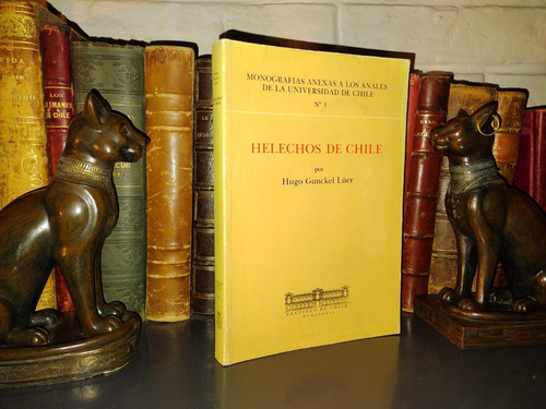 Helechos De Chile - Hugo Gunckel, 1984