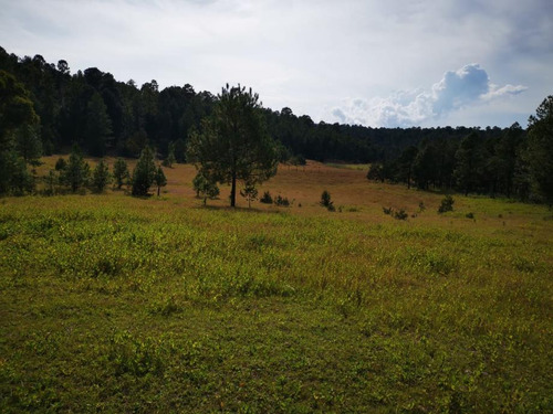 Terreno En Venta En Fraccionamiento Altos De La Sierra