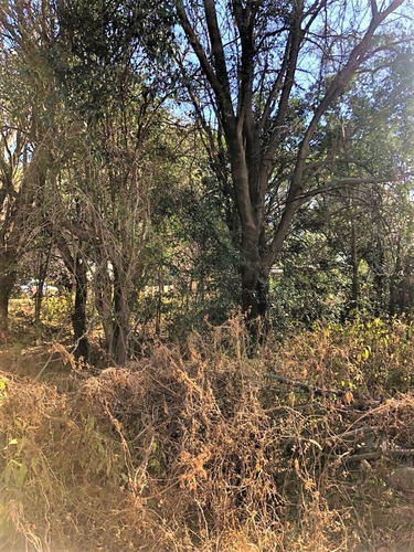 Imagen 4 de 8 de Lote En Venta En Barrio La Toma