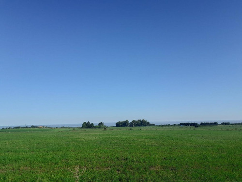 Venta De Chacra Colonia
