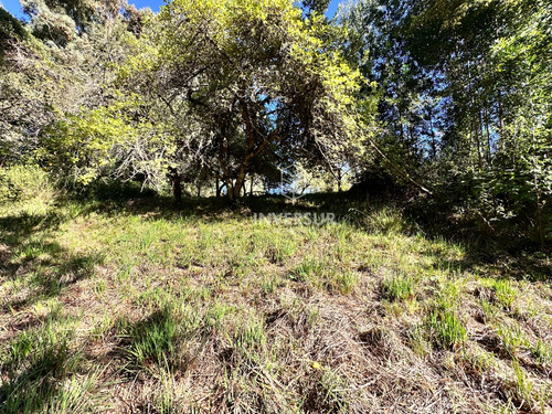 Hermoso Terreno En Arique Ruta Valdivia Los Lagos