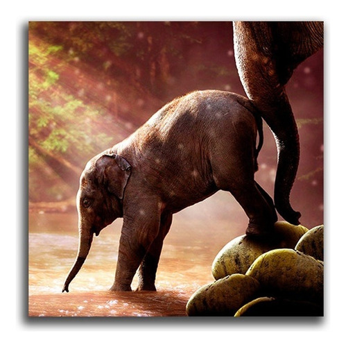 Cuadro Elefante Bebe L