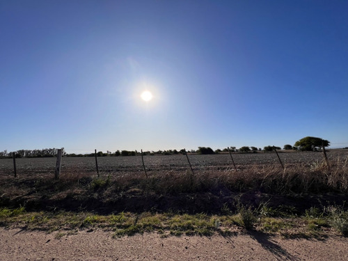 Imagen 11 de 13 de Campo Agricola En Venta , Zona Camino Capilla De Los Remedios Y Ruta 9 Sur , Cordoba , Argentina