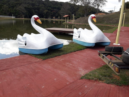 Pedalinhos Cisne De Fibra De Vidro