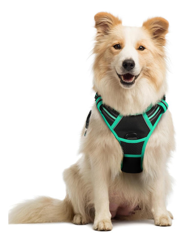Arnés Para Perro Rabbitgoo No Pull Ajustable Con 2 Clips M