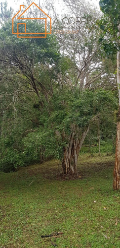 Imagem 10 de 12 de Chacara Com Otimo Valor Proximo A Represa Em Juquitiba-sp