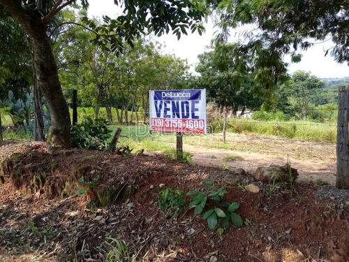 Imagem 14 de 15 de Chácara À Venda Em Macuco - Ch001594