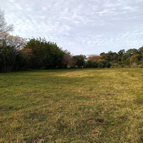 Imagen 8 de 16 de Venta Chacra De 7 Ha. En Zona De Gran Potencial