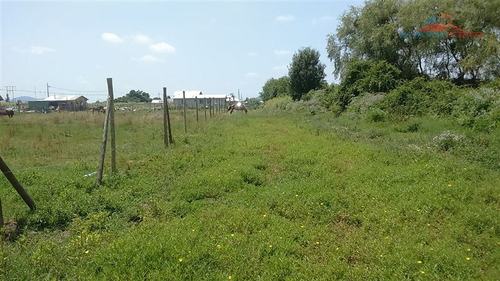 Imagen 2 de 30 de Agrícola En Venta En Linares