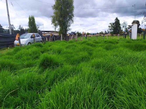 Vende Lote Ubaté - Cundinamarca