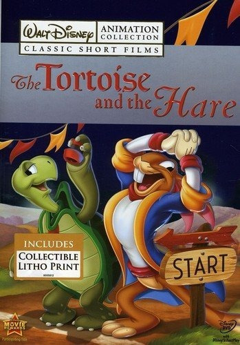 The Tortoise & The Hare La Tortuga Y La Liebre Pelicula Dvd