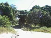 Imagem 12 de 14 de Terreno Medindo 400mts2 Mais 600 De Area De Preservação B.