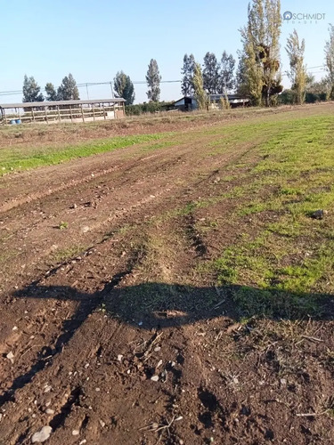 Terreno En Venta En Teno