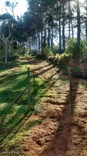 Chácara Para Venda Em Atibaia, Portão - 068_1-1751182