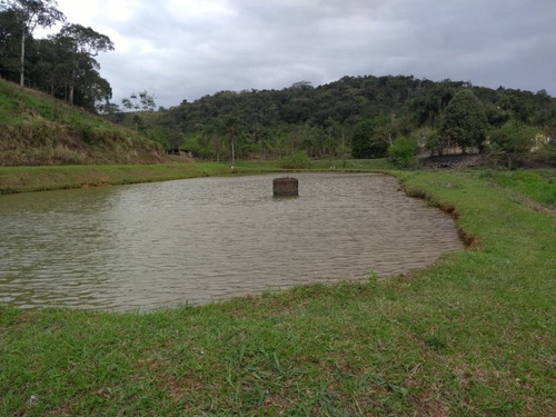 Imagem 3 de 30 de Sitio No Juquiá - St00024