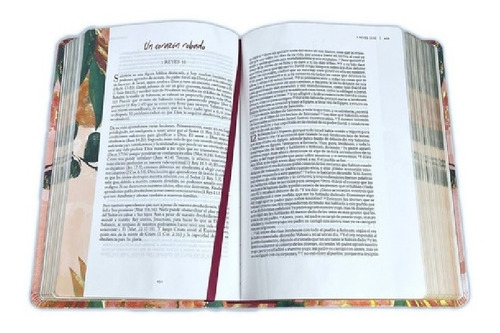 Imagen 3 de 5 de Biblia Devocional Centrada En Cristo, Tap Piel Estudio Mujer