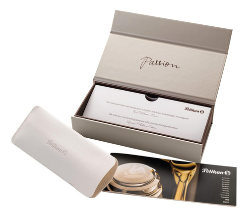 Pelikan Souverän M405 Stresemann Antracite Stracite Fountain