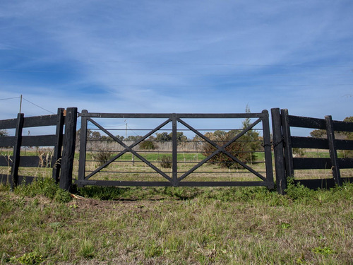 Chacra 1 Ha. - Las Juntas - San Antonio De Areco