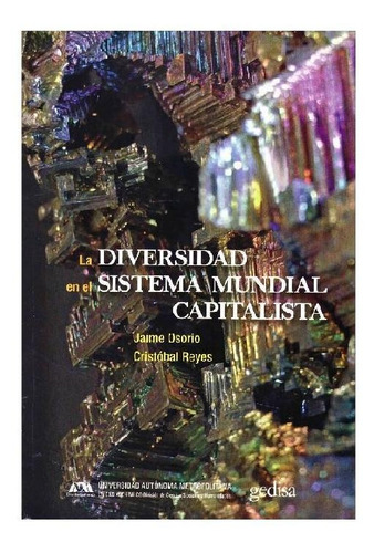 Libro La Diversidad En El Sistema Mundial Capitalista Proces