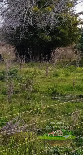 Oportunidad Chacra De 3 Ha En Venta En San Bautista