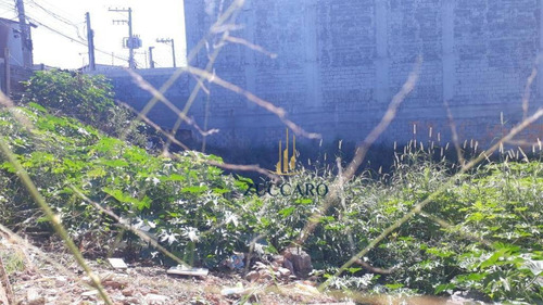 Terreno Comercial À Venda, Cumbica, Guarulhos. - Te0521