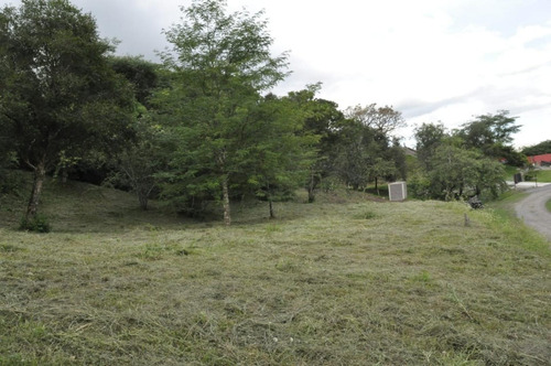 Imagen 9 de 11 de Terreno Los Zarzos - San Lorenzo