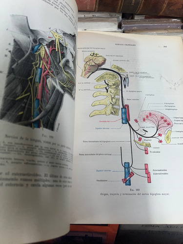 Anatomía Humana 1,2,3 Y 4 (Usado)