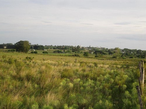 Imagen 10 de 18 de Campo Pegado A Tala, 22 Hás