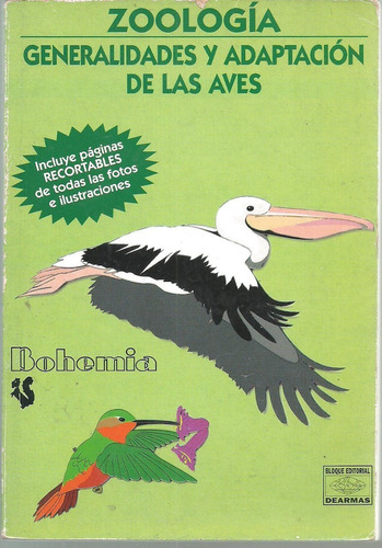Zoología Generalidades Y Adaptación De Las Aves 