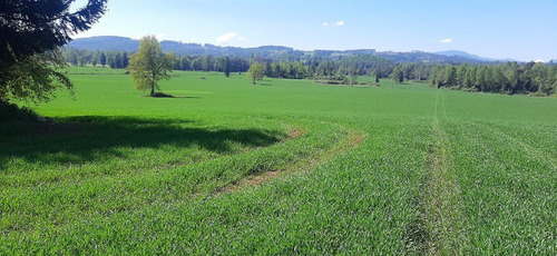 Se Vende Predio Agrícola Y Ganadero De 40 Hectáreas En Futro