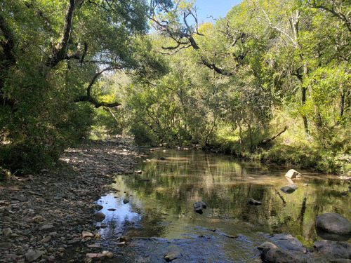 Imagen 1 de 14 de Chacra En Venta En Conchillas. 3 Has De Campo Y Arroyo.