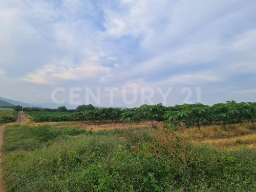 Venta Rancho Los Asmoles Colima