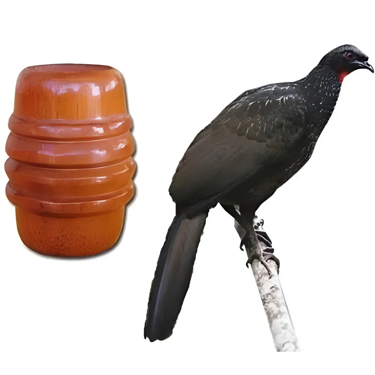 Apito Profissional Pio Madeira Marreca Caneleira Beeli Marrom