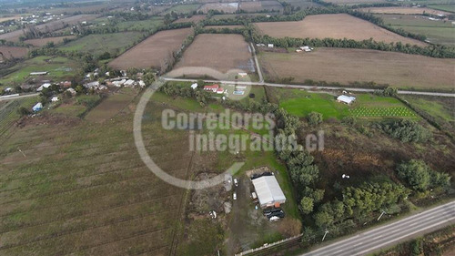 Galpón En Venta En Linares