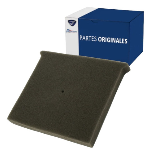 Elemento Filtrante Italika Ft150 Gts F08010153