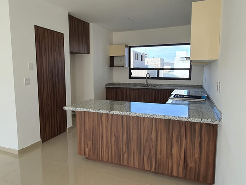 Imagen 4 de 29 de Casa Con Amplio Jardín Y Roof Garden Con Opción A 4ta Recámara